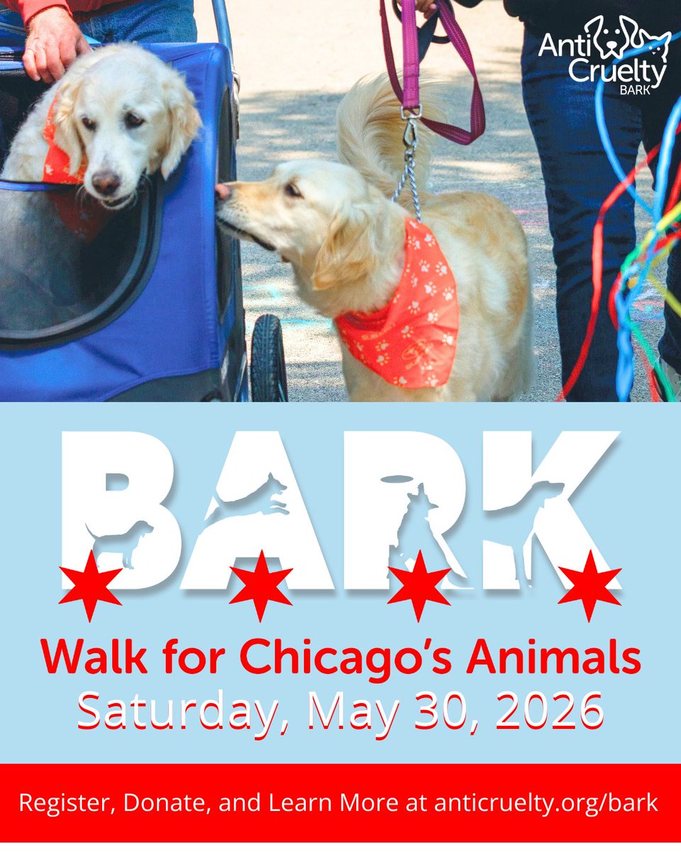 AntiCruelty's tweet photo. BARK: Walk for Chicago's Animals is BACK on Saturday, May 30!

Registration is open and tickets are just $10, which is honestly less than what many dogs spend emotionally recovering after you say the word “bath.” 

https://t.co/Jyjc8VOTaW https://t.co/MsrxpF3CAH