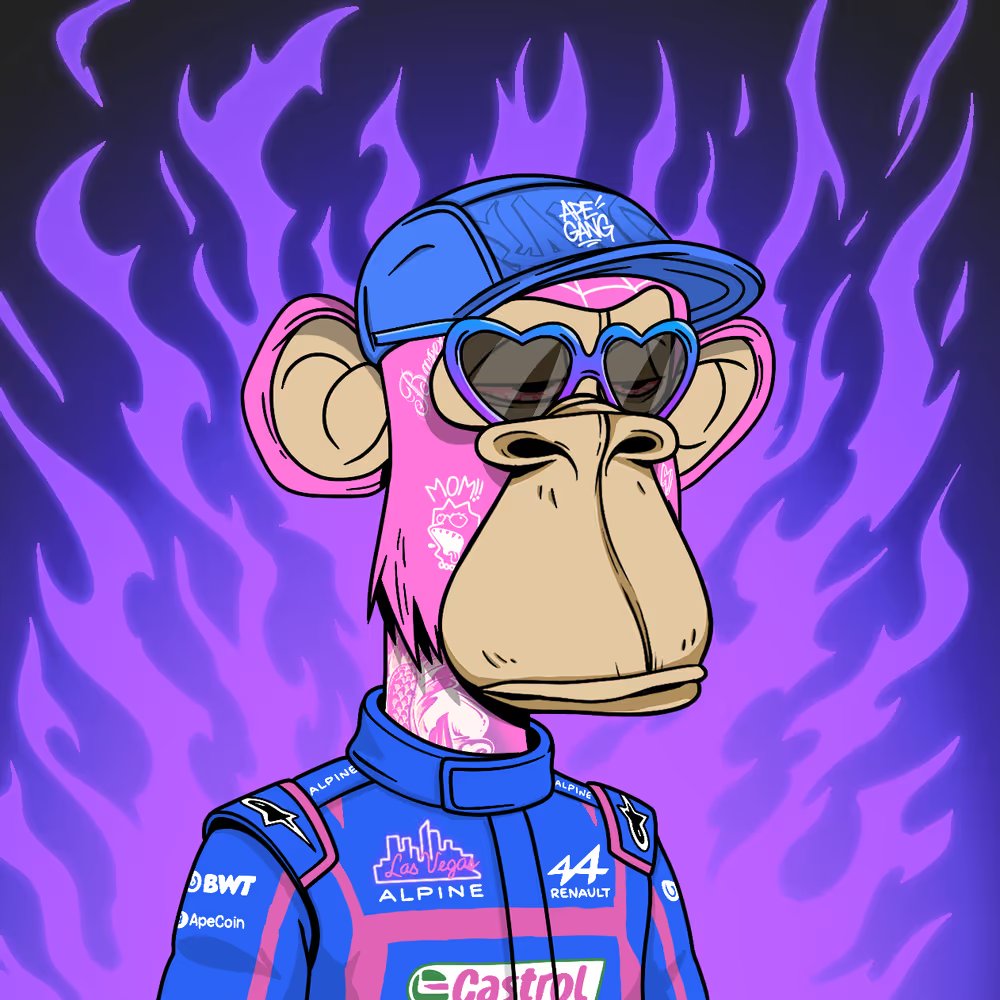 Mountainville 🦍 tweet media