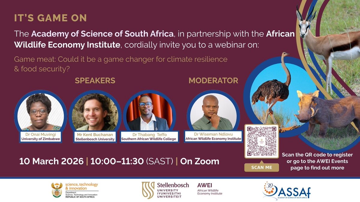 African Wildlife Economy Institute tweet media