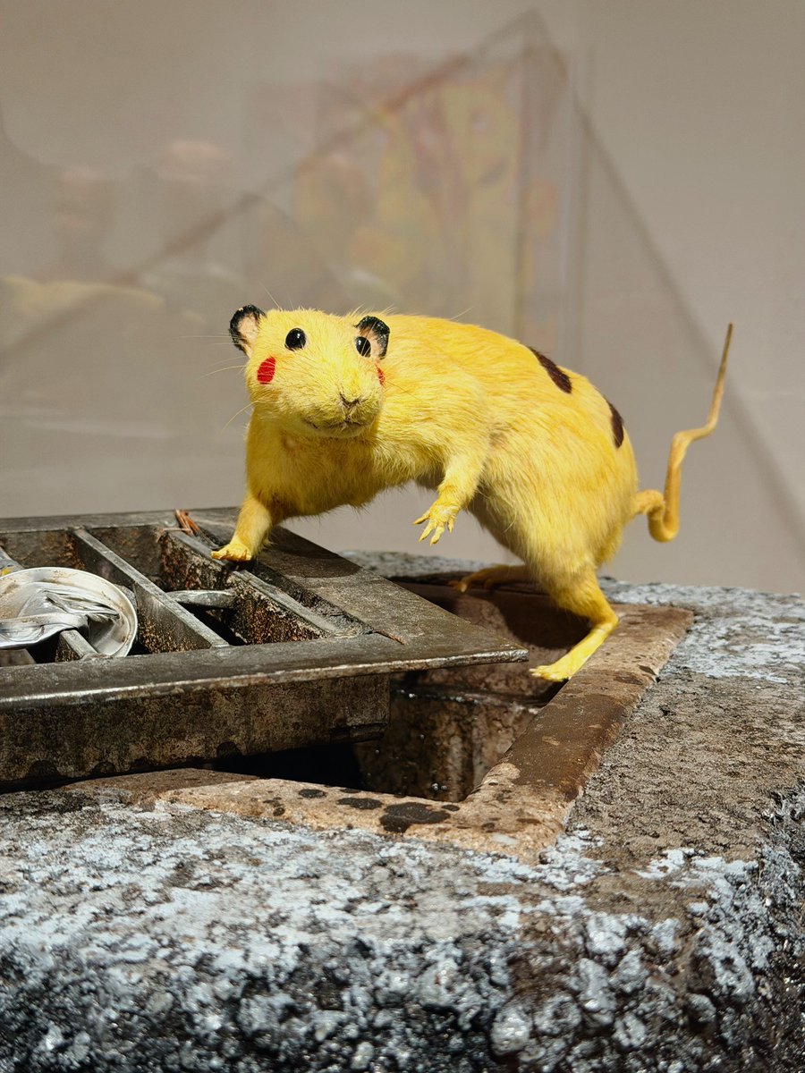 Sofia Crespo 🪸 tweet media