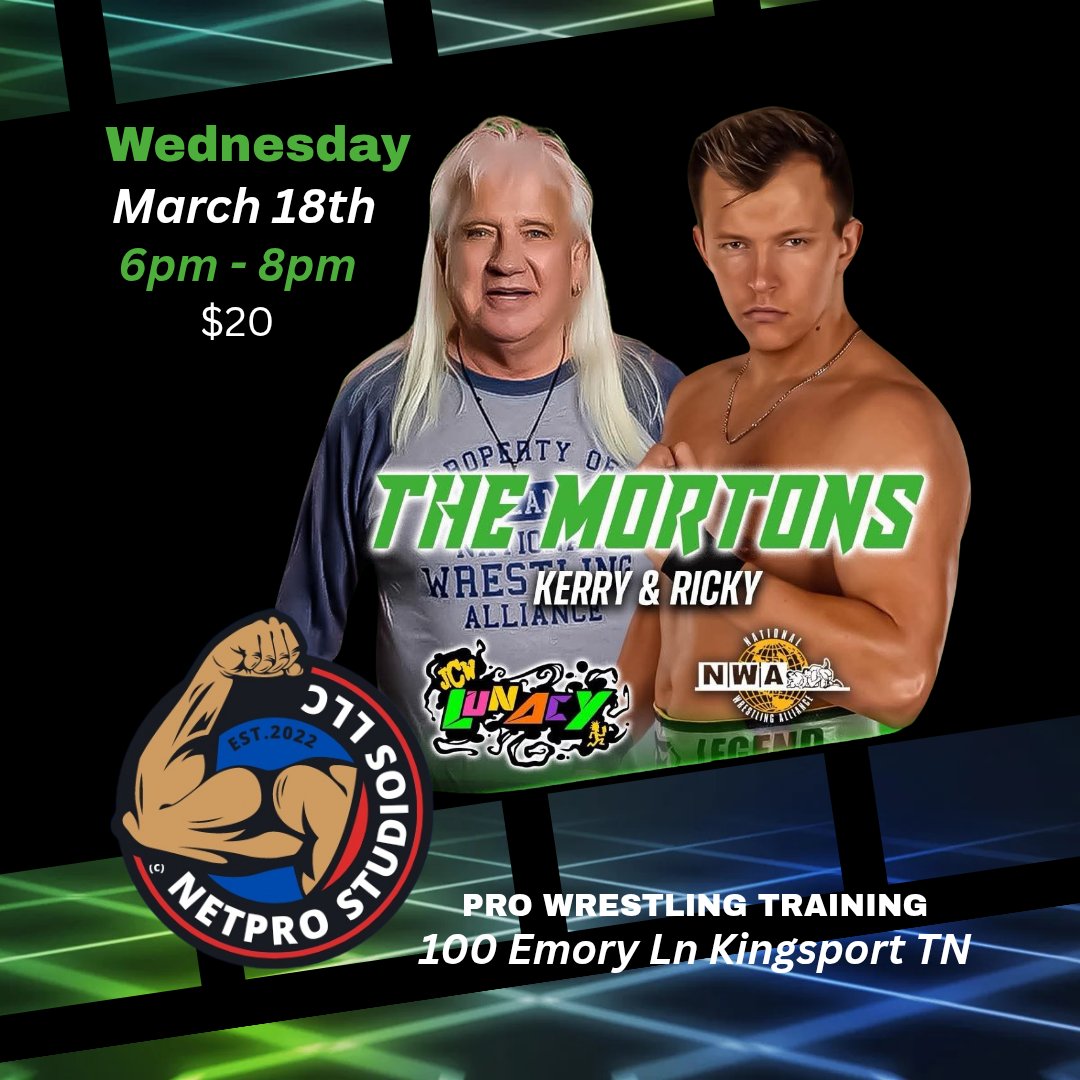 NETPRO Studios tweet media