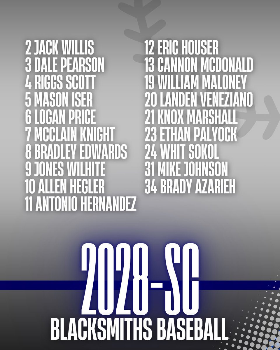 Palmetto Blacksmiths Baseball tweet media