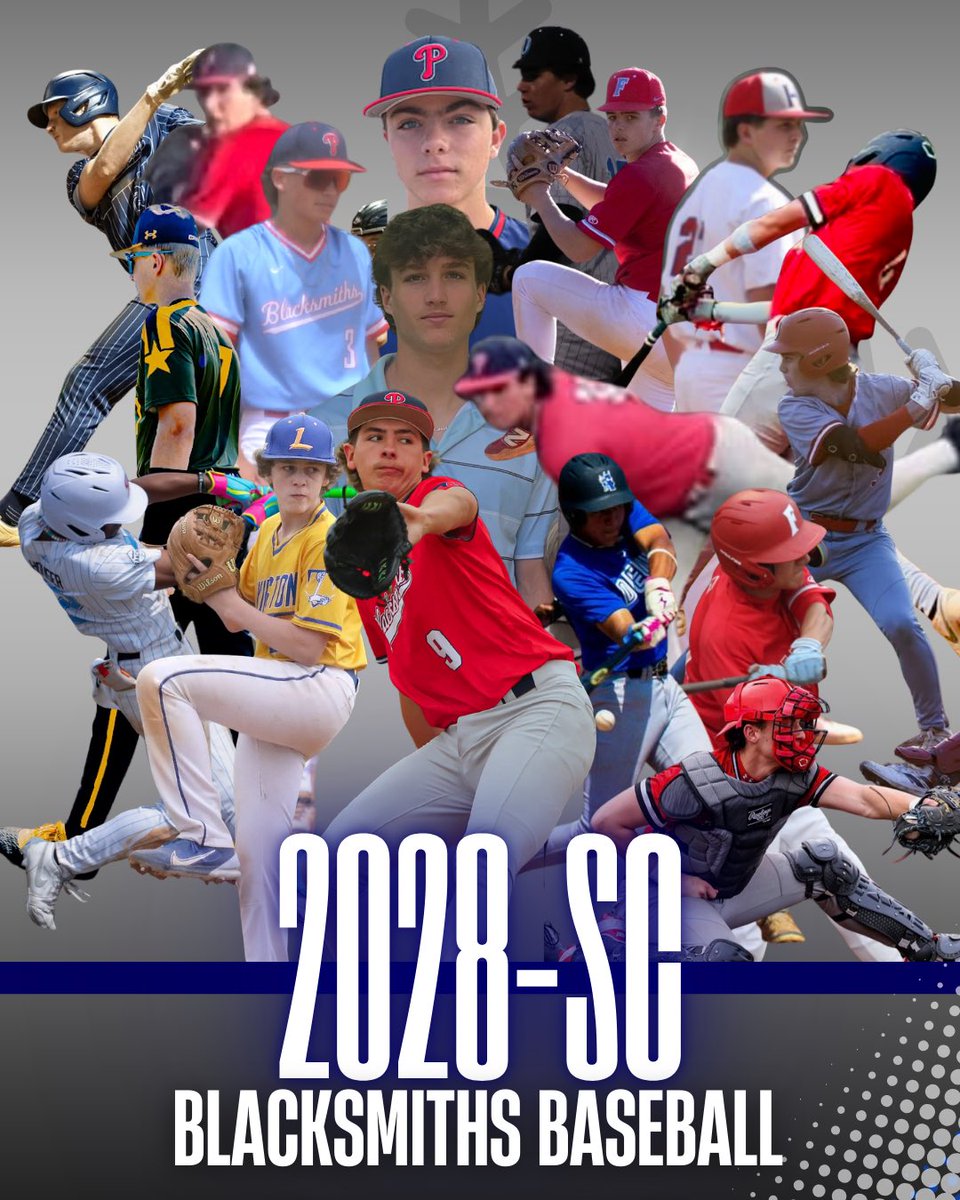 Palmetto Blacksmiths Baseball tweet media