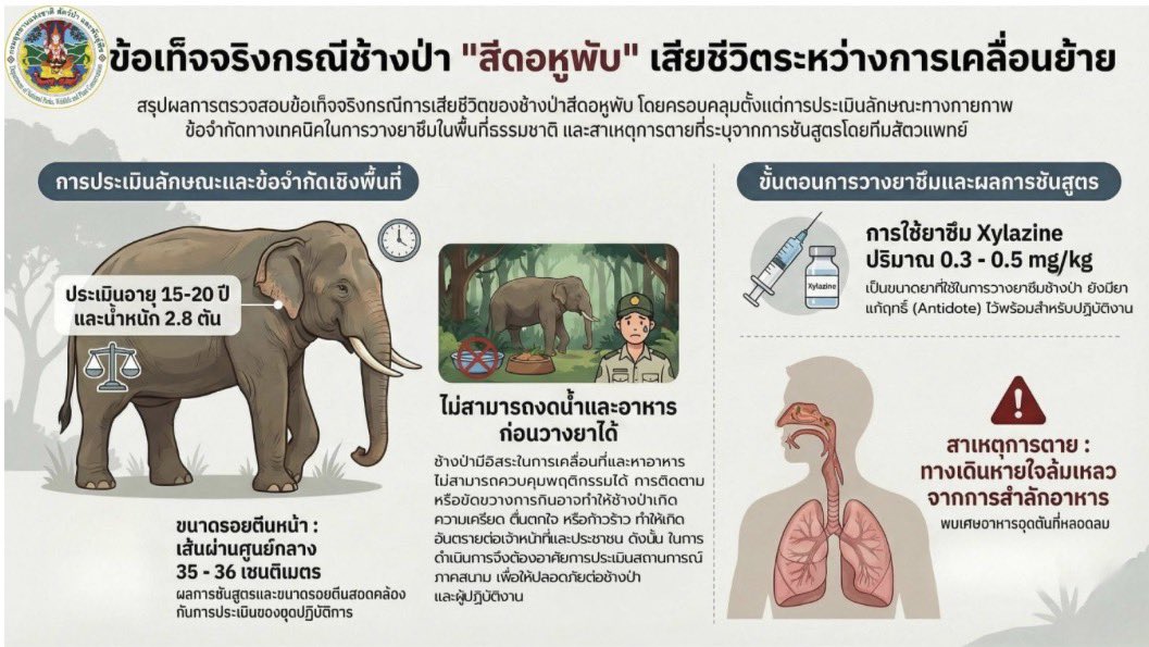 Justice for หูพับ tweet media