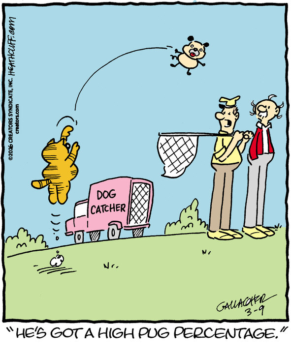 actual heathcliff comics tweet media