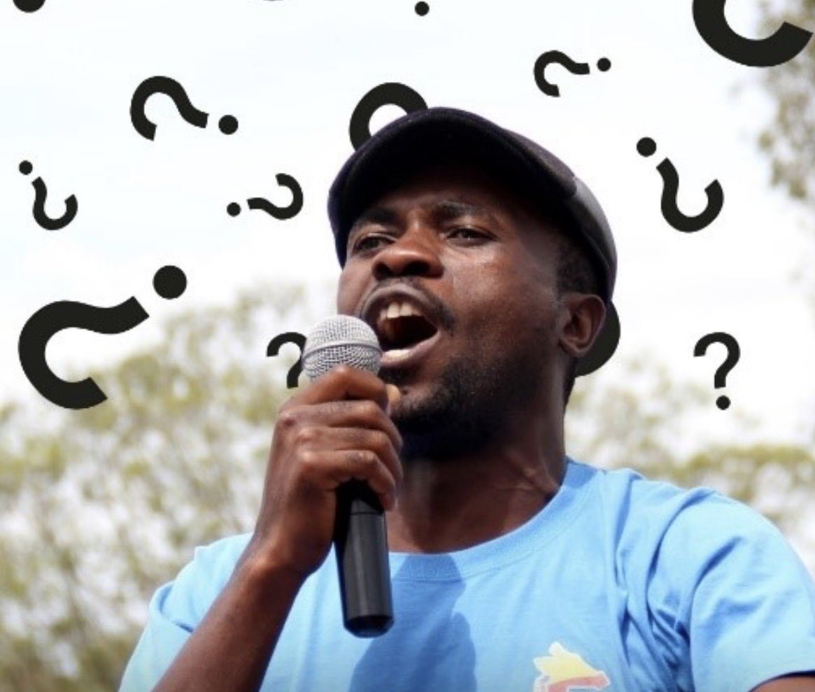 Fadzayi Mahere🇿🇼 tweet media