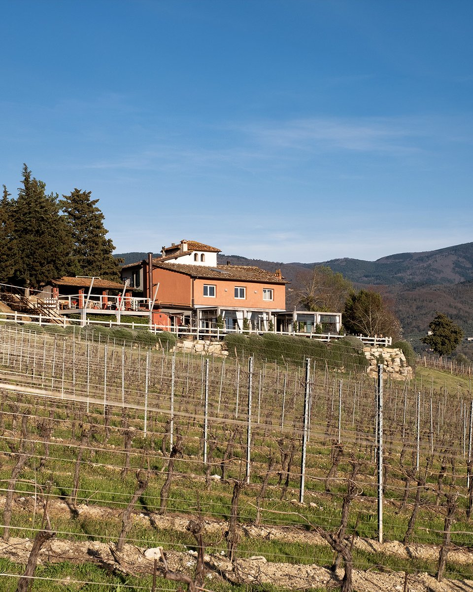 Marchesi Frescobaldi tweet media