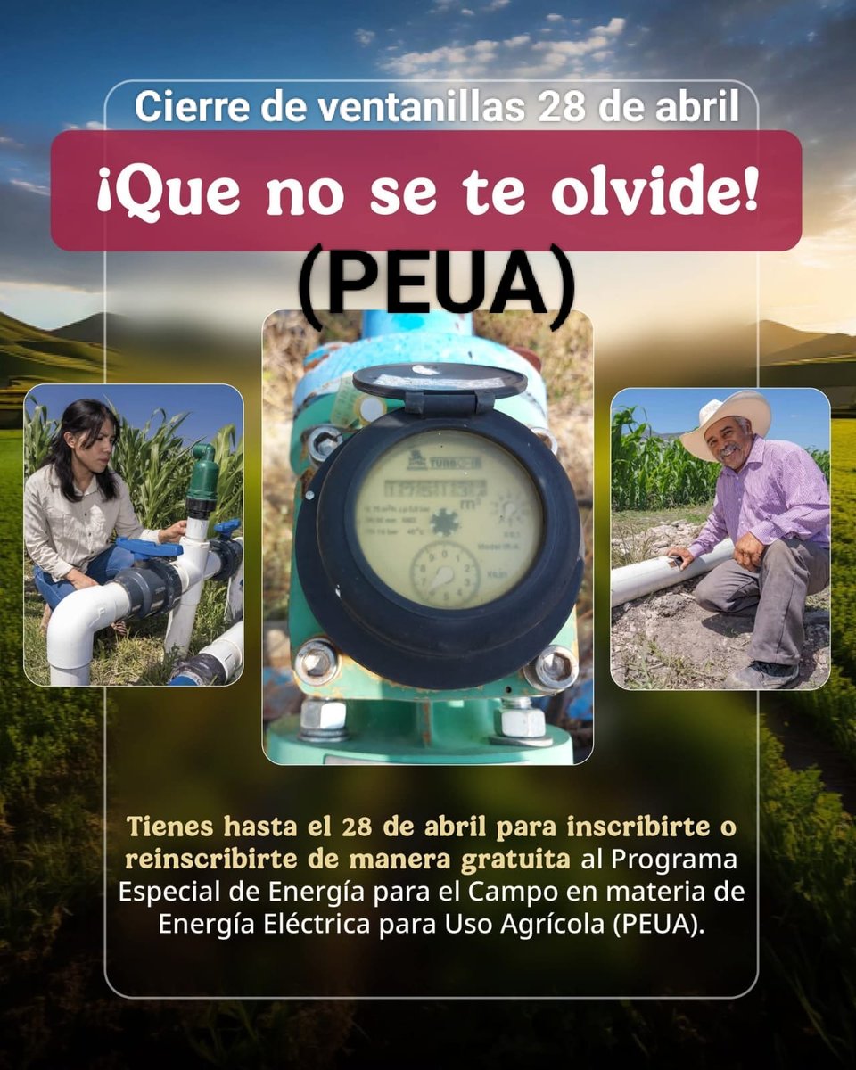 Amiga Amigo Productor, tienes hasta el 28 de abril para la reinscripción e Inscripción al Programa de cuota de energía electrica para riego agrícola PEUA y ahorra hasta un 95% en la tarifa con la CFE

Acude a tu CADER ó DDR más cercano
<a href="/Claudiashein/">Claudia Sheinbaum Pardo</a> <a href="/JulioBerdegue/">Julio Berdegué</a> <a href="/ismaelayala7/">Ismael Ayala Salazar</a>