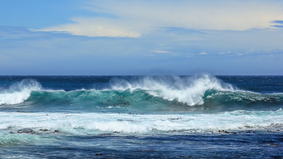 FL Health Collier tweet media