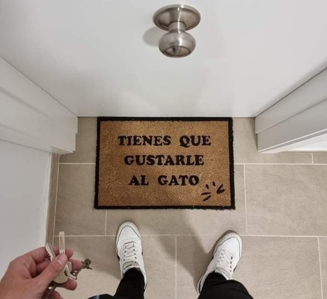 Will Turner tweet media