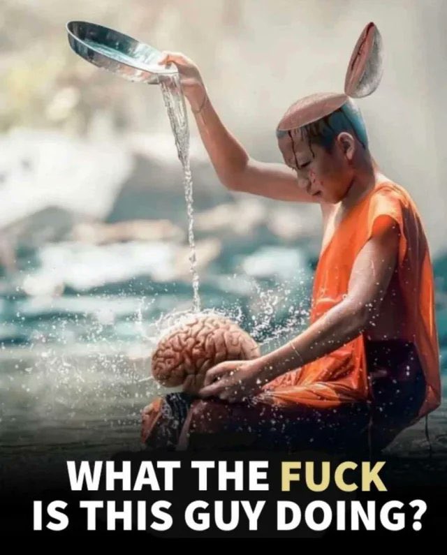 Dietrich 🪀🪀 tweet media