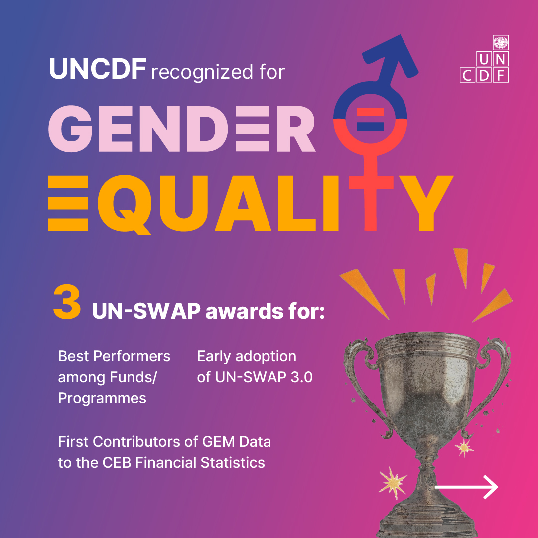 UN Capital Development Fund tweet media