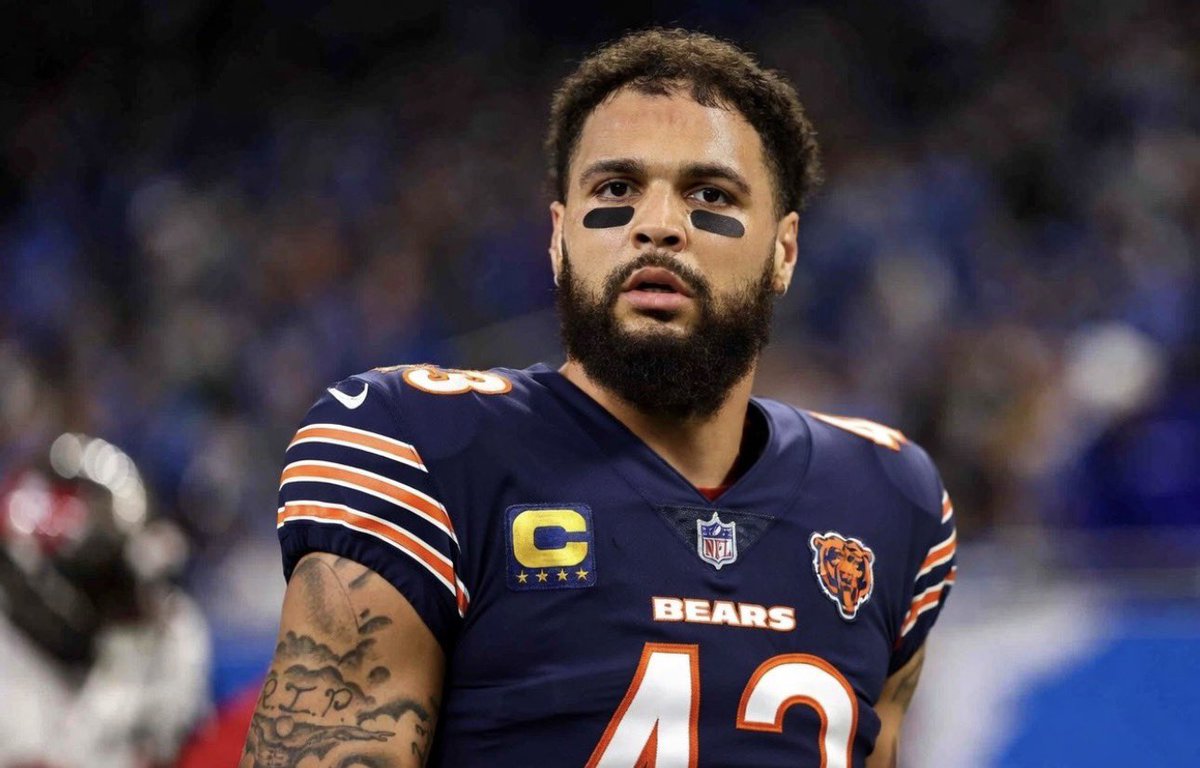 BearsMuse tweet media