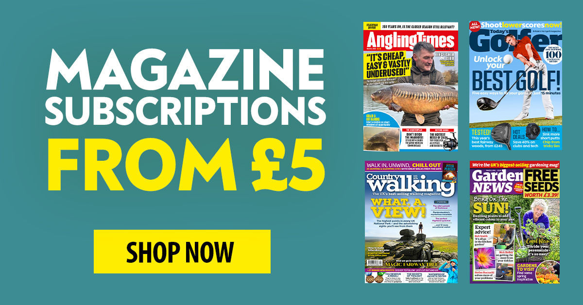 TV Choice tweet media