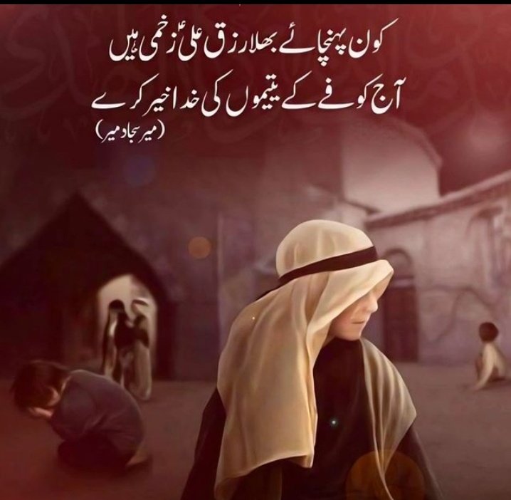 Fatema Haidery tweet media