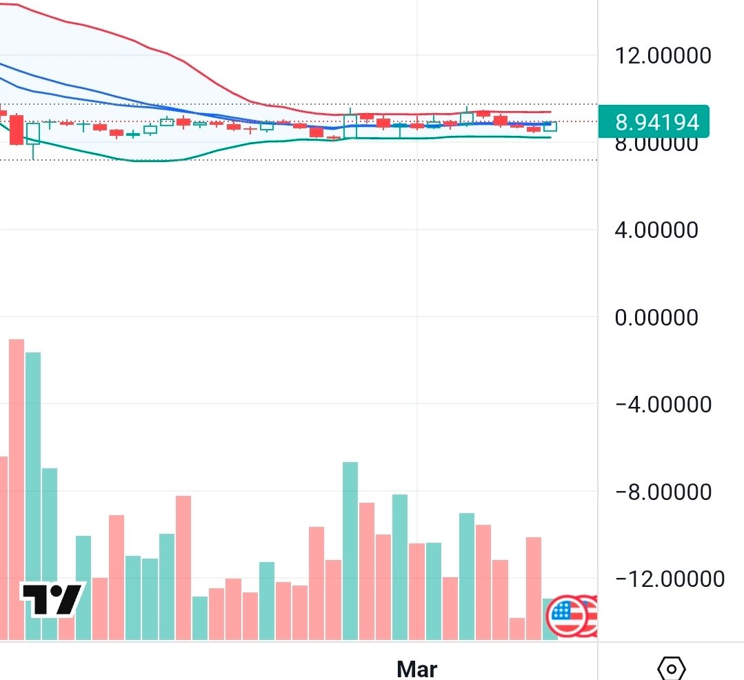 ○•A ₿etter Version of Myself•○ tweet media