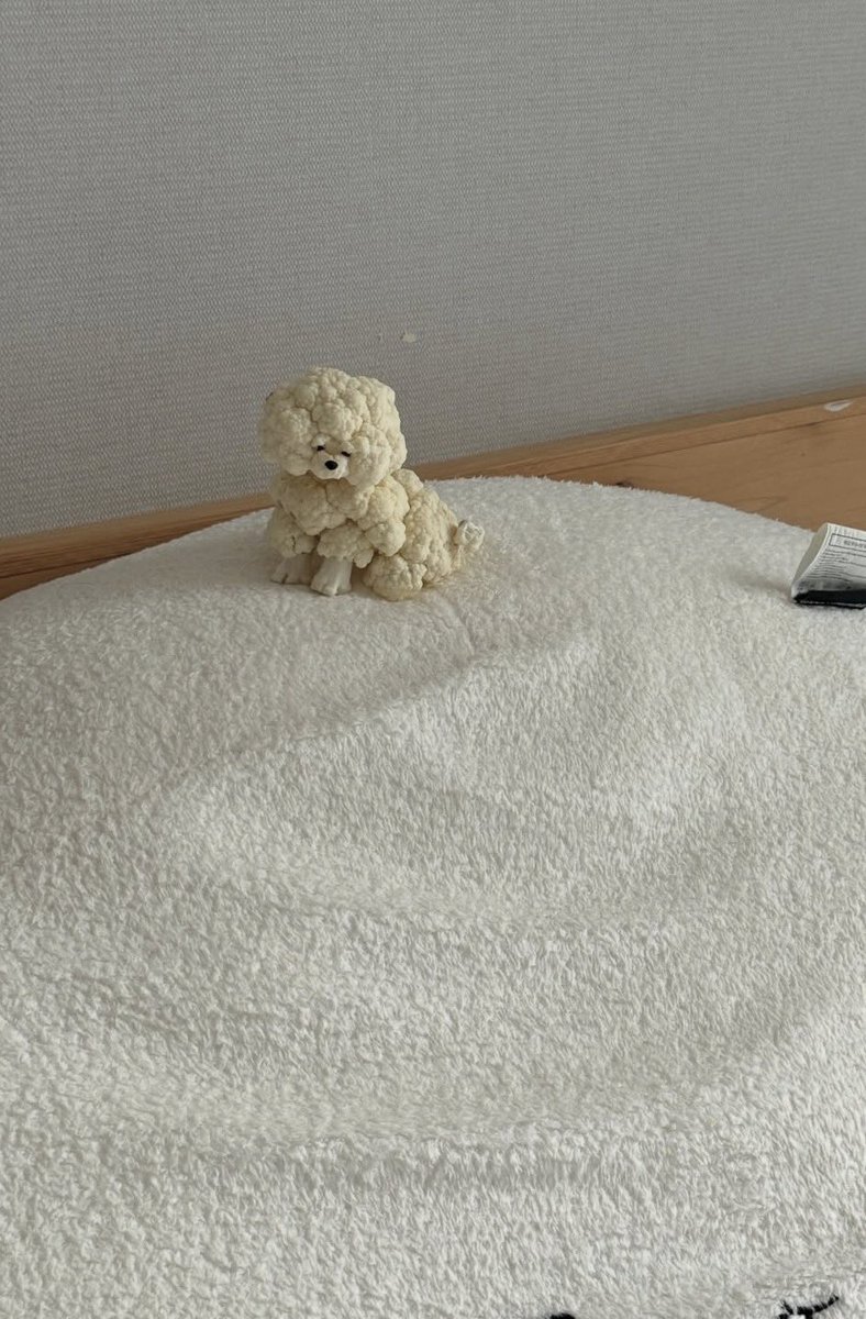 今日のペットは、とってもヘルシー。🌱