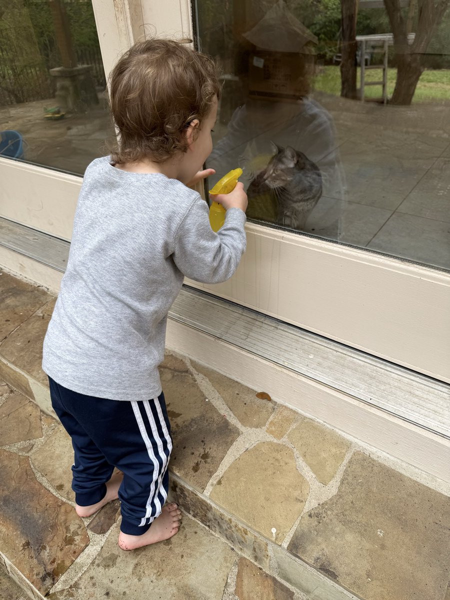 Pamela Hobart tweet media