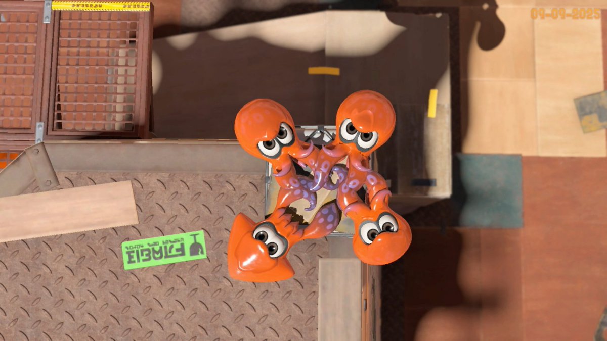 Rocko⚡ tweet media