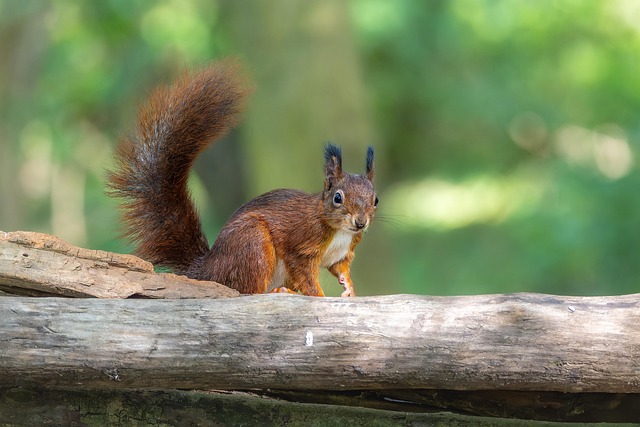 Sarah Smidt tweet media