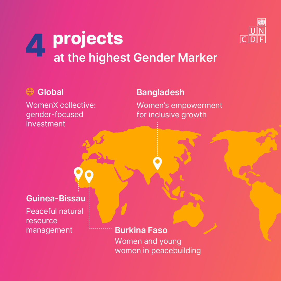 UN Capital Development Fund tweet media