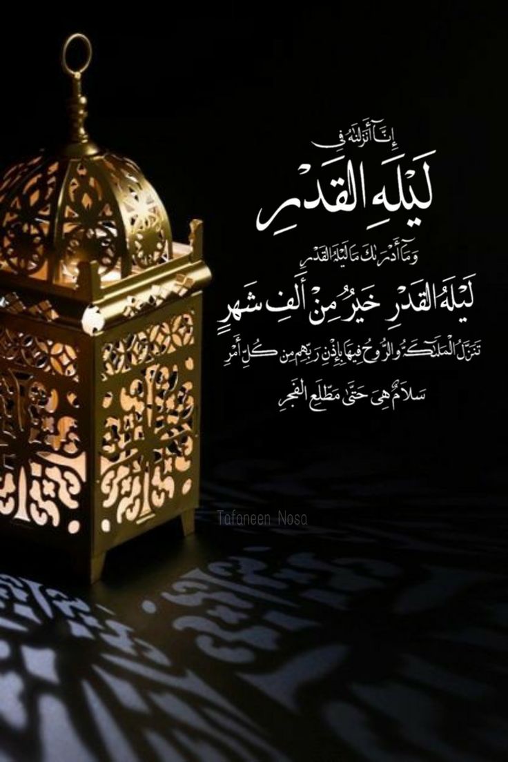 mali7h_'s tweet photo. اللهم إنّا بلغنا ليالي عظيمة لا يعلم قدرها إلا أنت،
فيا رب لا تجعلنا فيها من المحرومين.
اللهم إنّا ضعفاء فقوِّنا بك، ومقصرون فاعفُ عنا،
ومذنبون فاغفر لنا، وتائبون فاقبلنا.
اللهم إن كانت هذه ليلةً من ليالي ليلة القدر
فاكتب لنا فيها نصيباً من الرحمة والمغفرة والعتق من النار،
وامسح عن قلوبنا كل همٍّ وحزن،
وأبدل تعبنا راحة، ودعاءنا استجابة،
واجعل لنا من كل ضيقٍ مخرجاً ومن كل همٍّ فرجاً.
اللهم تقبّل صيامنا وقيامنا ودعاءنا،
ولا تجعل رمضان يرحل إلا وقد غفرت لنا،
وكتبتنا من المقبولين الفائزين برضاك يا أرحم الراحمين. 🤲✨

#العشر_الأواخر 
#ليلة_القدر