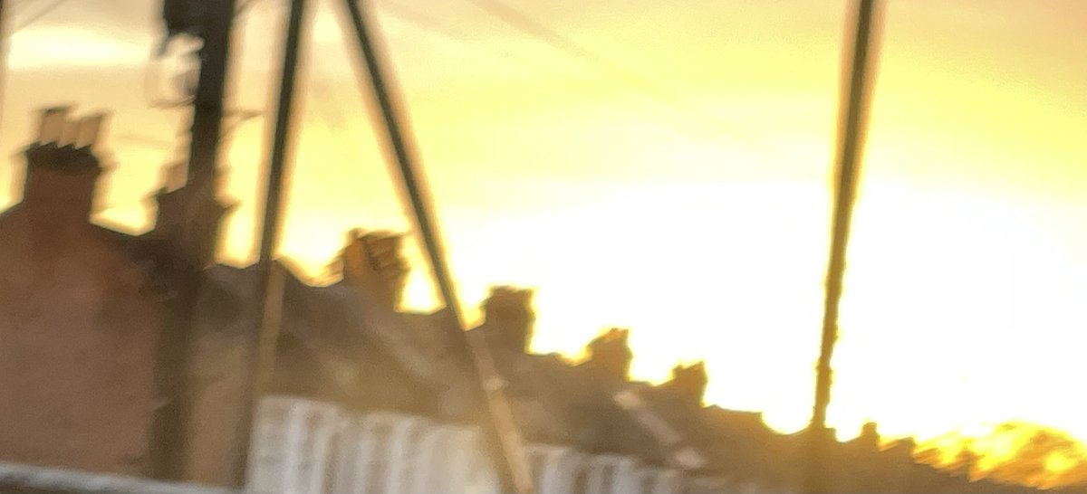 mila255h's tweet photo. @DailyPicTheme2 Splattered egg sunset #Aureolin https://t.co/uacCVc8gsy