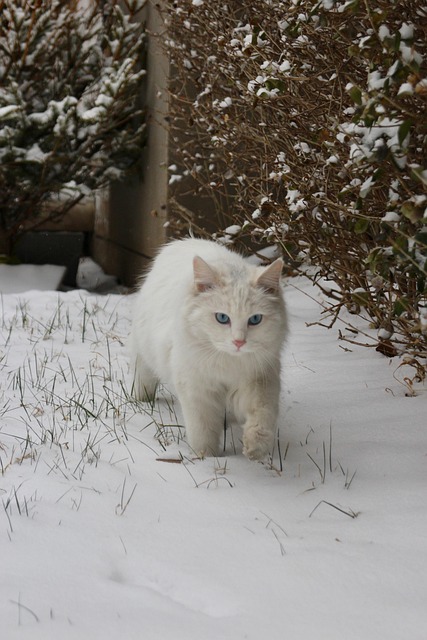 Mike Lefebvre tweet media