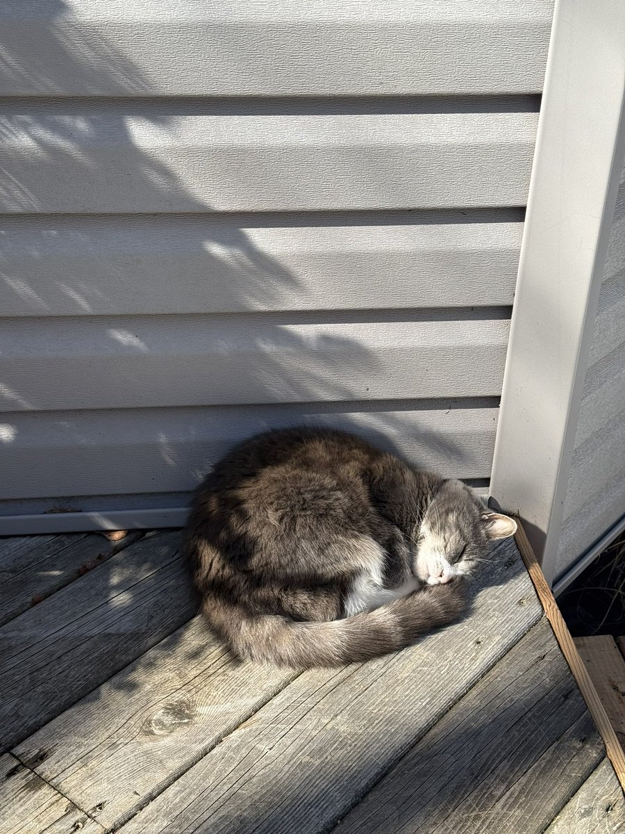 Janice Landry tweet media