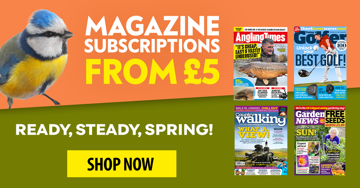 TV Choice tweet media