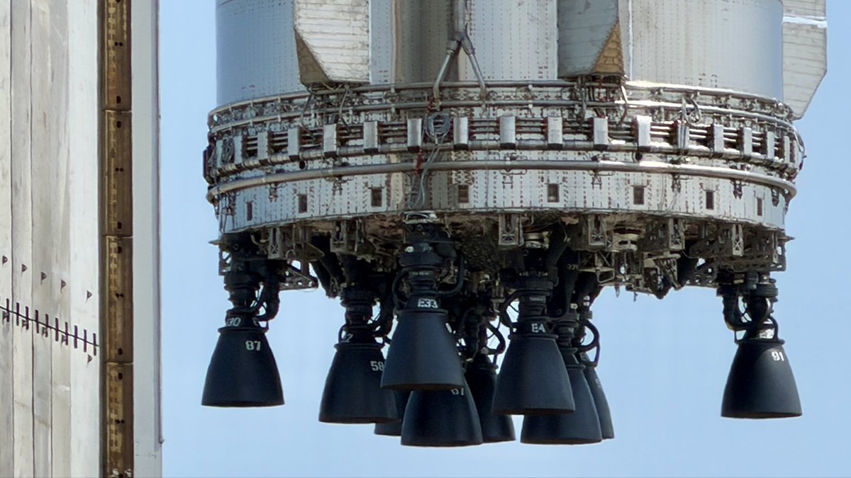 Mookafish tweet media