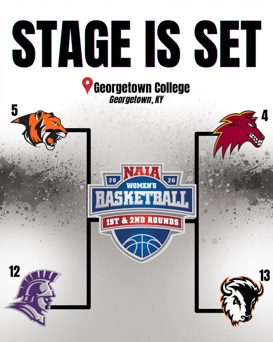 Taylor Women’s Basketball tweet media