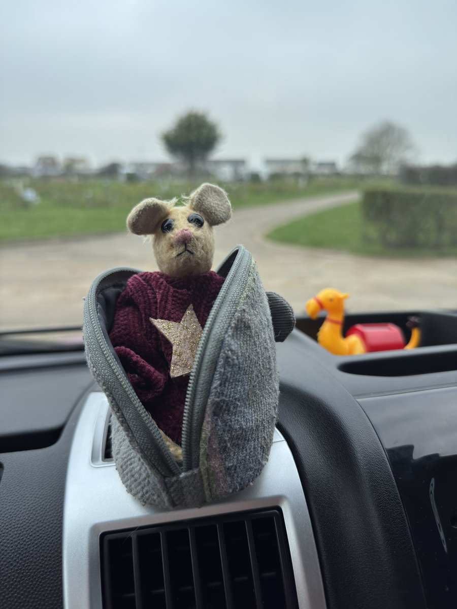 Pip Mouse tweet media