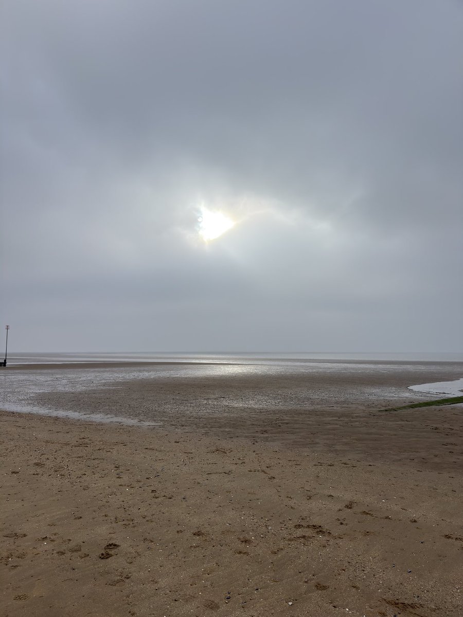 Pip Mouse tweet media