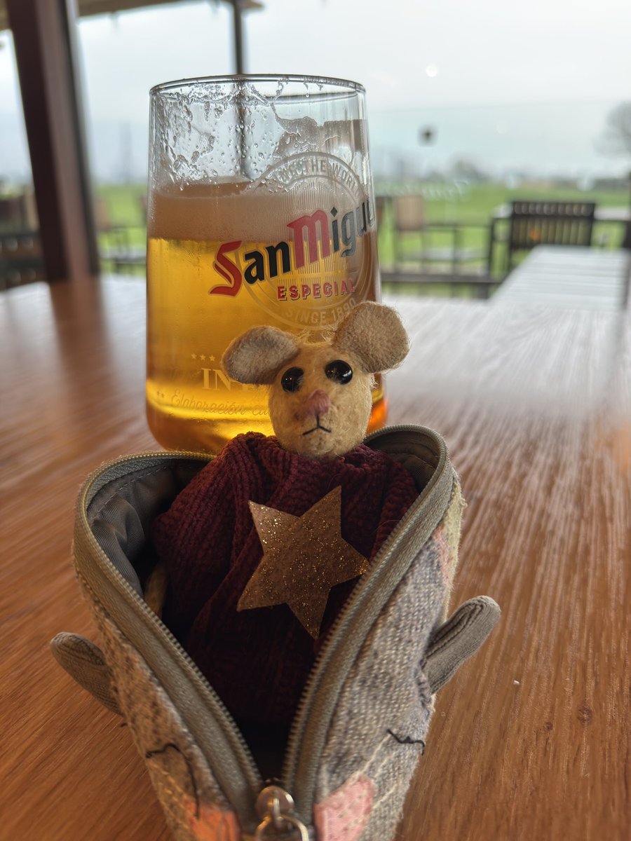 Pip Mouse tweet media