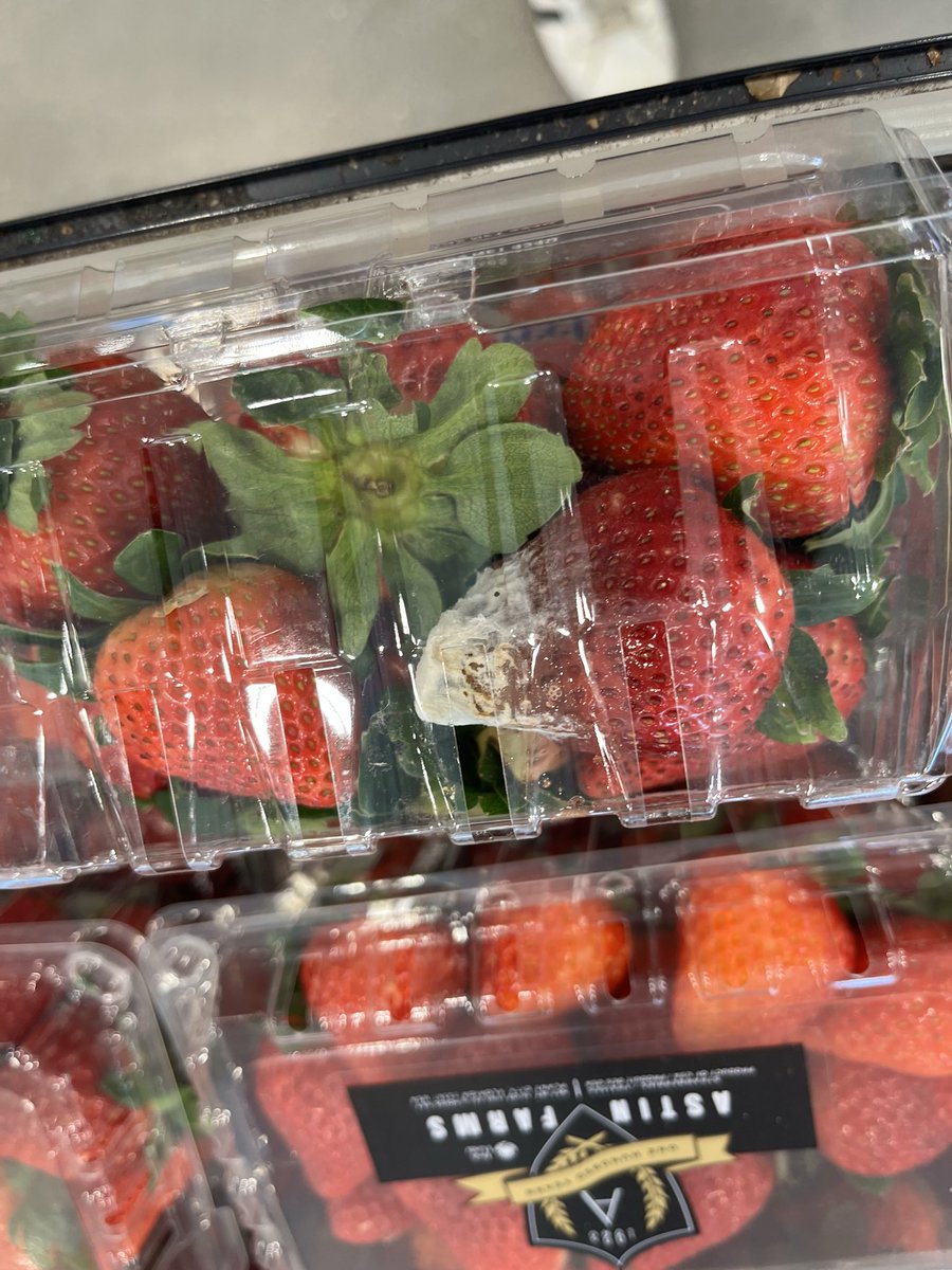 mk1497's tweet photo. @foodbasics  you’re New location in Ingersoll just recently opened up and already I am finding lack if care.  How often are you checking your shelves. No impressed https://t.co/bCm1r2feJY