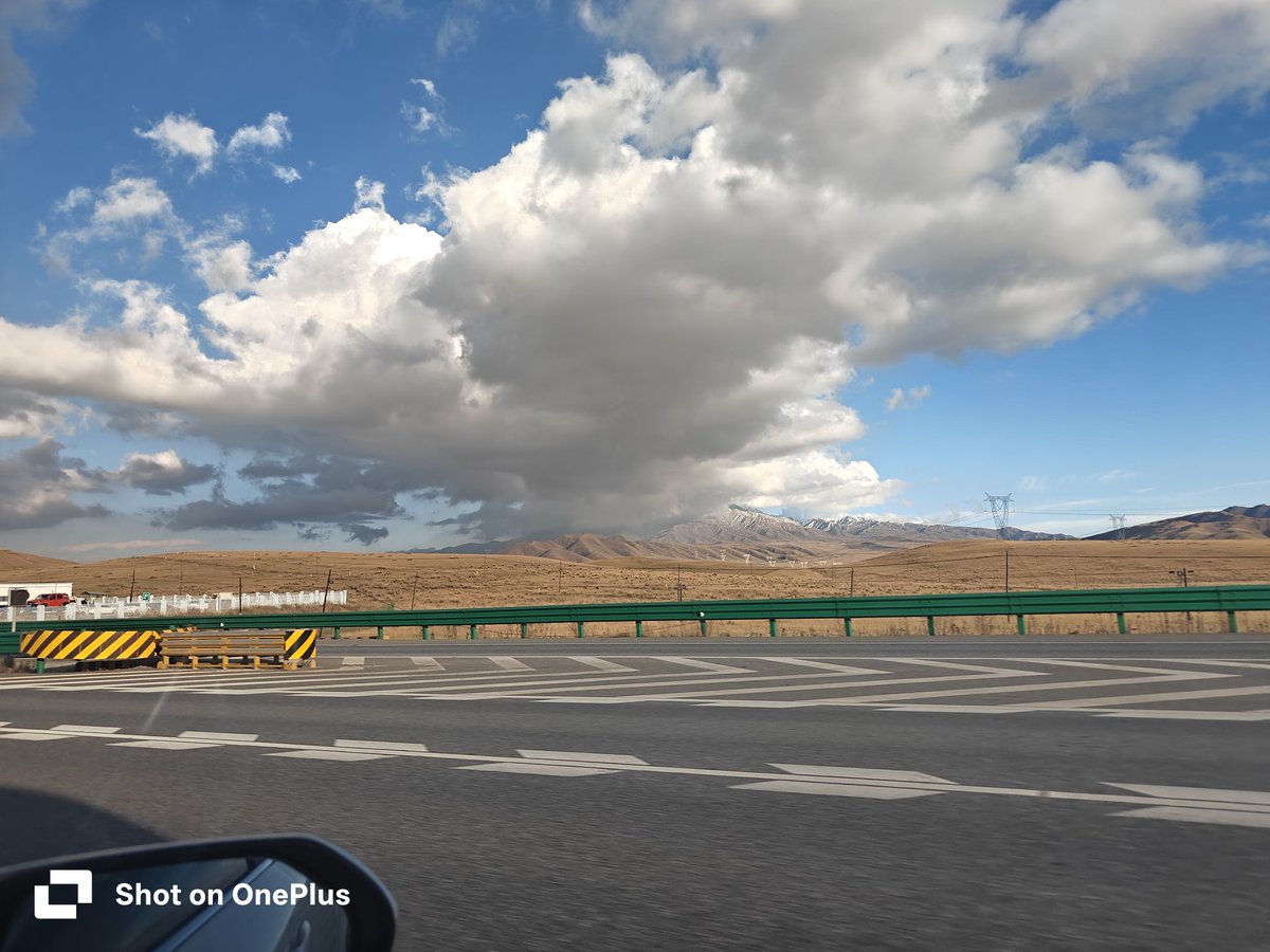 小猫猫sub tweet media