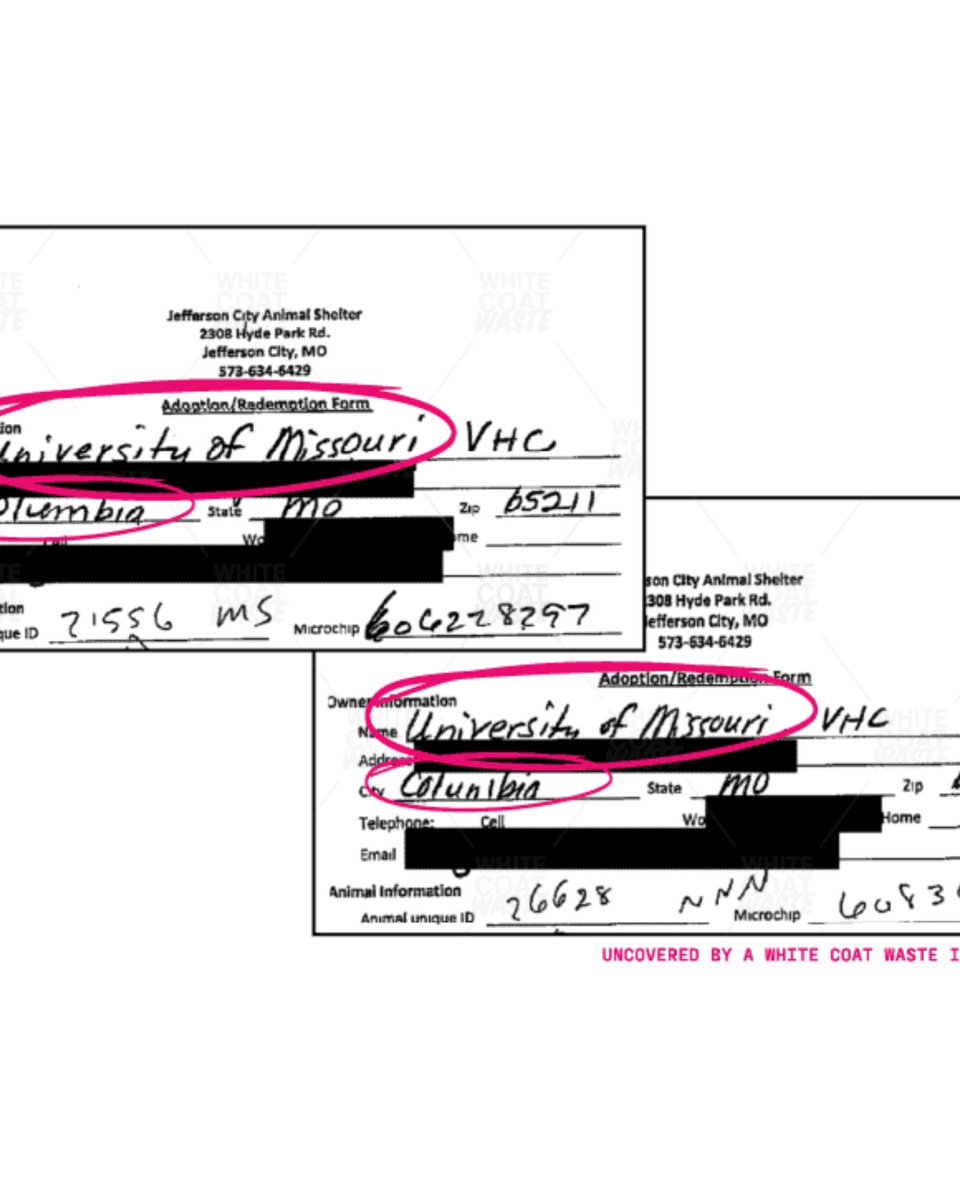 Lauren Lee tweet media