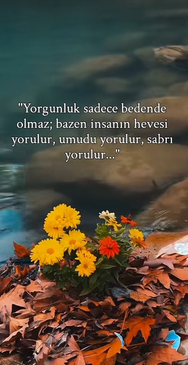 mavi_misali's tweet photo. Diyeceğim bu kadar... https://t.co/5v15A7Zi1u