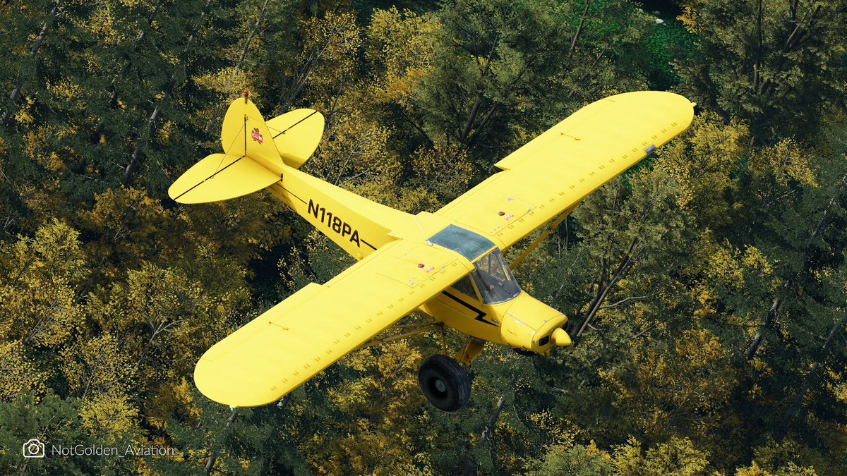 X-Plane Flight Simulator tweet media