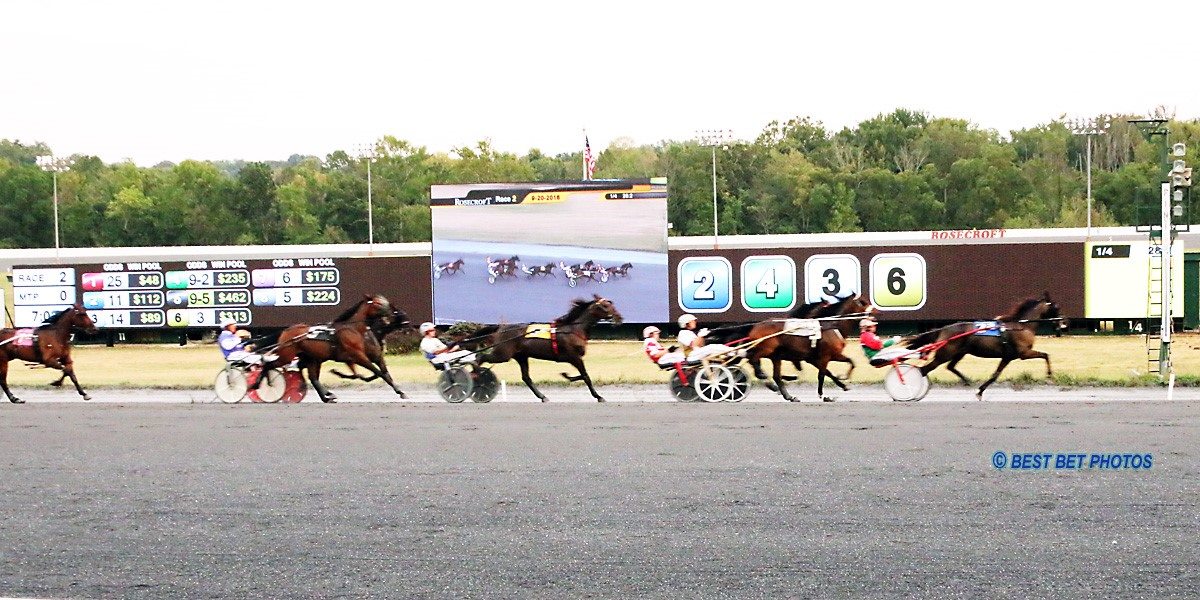 DRFHarness's tweet photo. Rosecroft Raceway has 13 races tonight with a first post time of 7:15 PM (ET)

➡️ Jackpot Hi-5 Carryover: $30,456 (Race 13)
➡️ 15% Takeout Pick 4: Races 3-6 & 8-11

Get FREE PPs & Analysis here: https://t.co/gG3X17fkc0
Watch the races live: https://t.co/F2POyel4kj
@Rosecroft @DailyRacingForm @georginamaybee