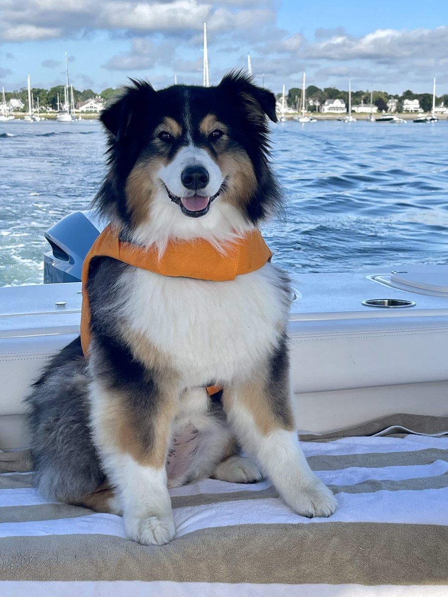 Grady-White Boats tweet media