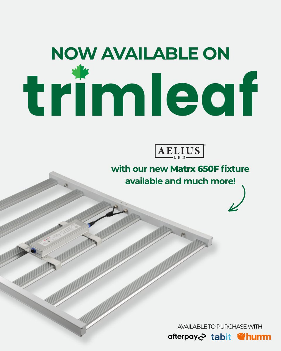 Aelius LED tweet media