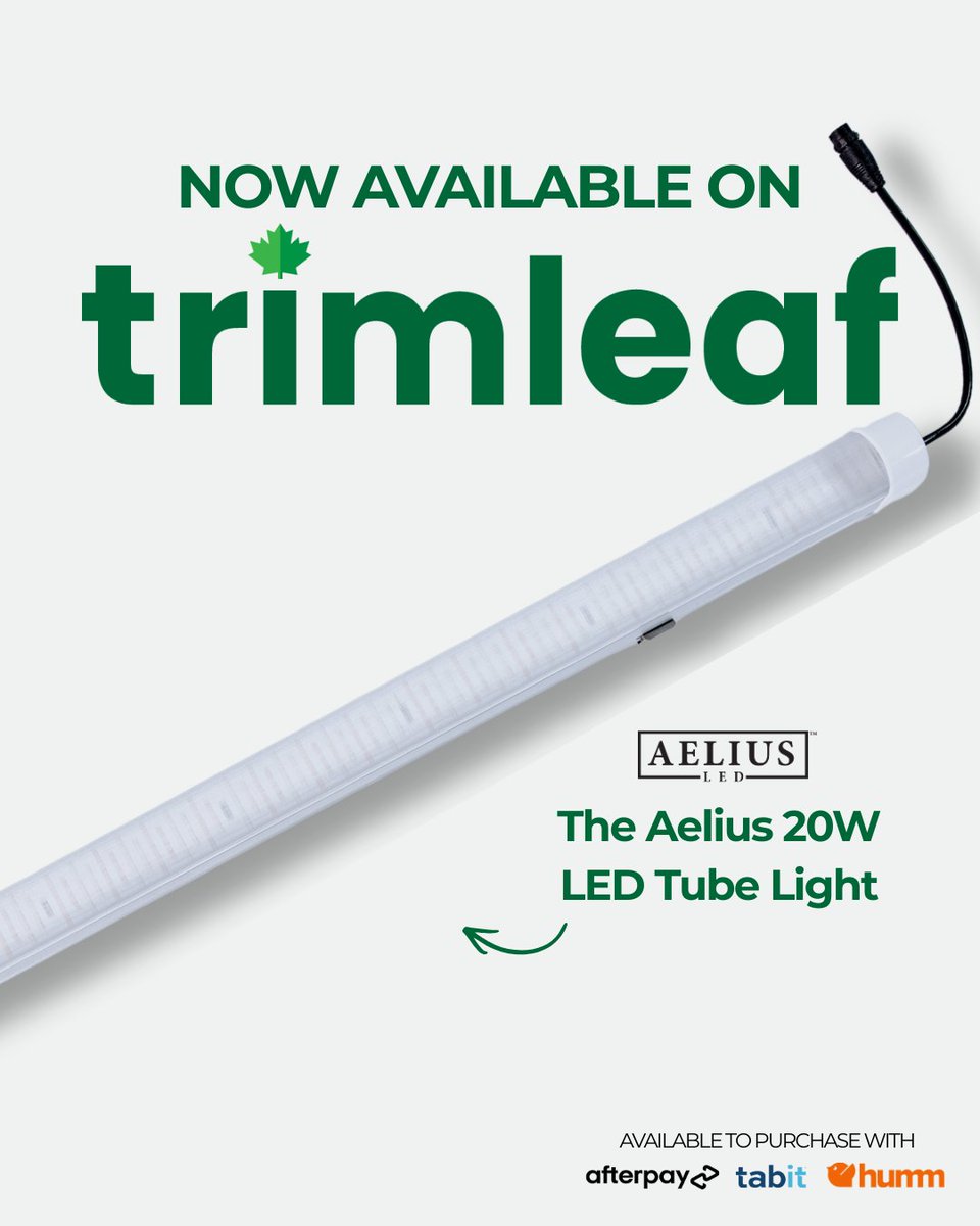 Aelius LED tweet media