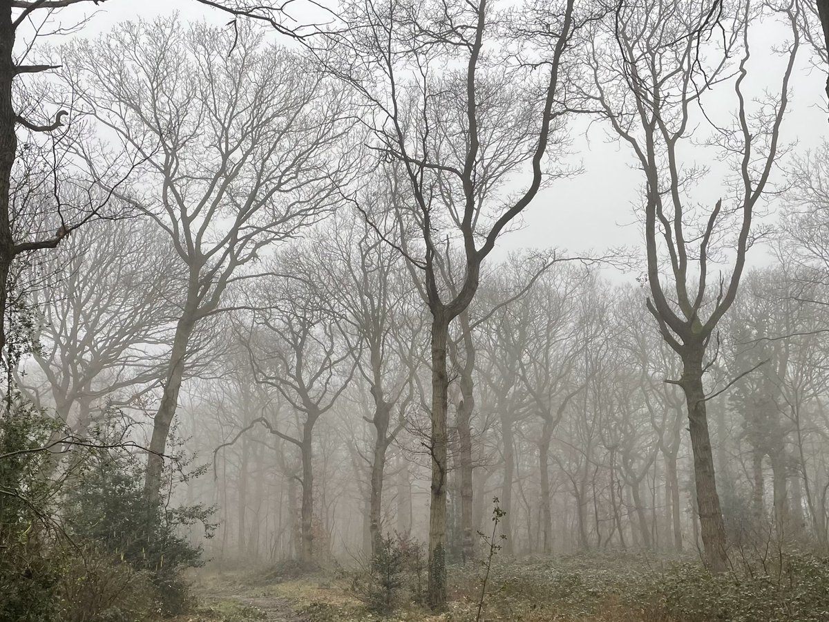 Jonathan Dodds tweet media