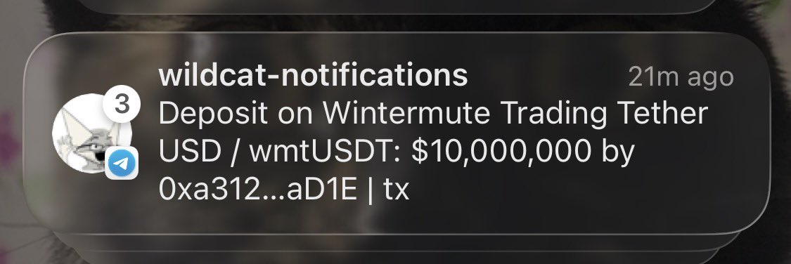 laurence tweet media