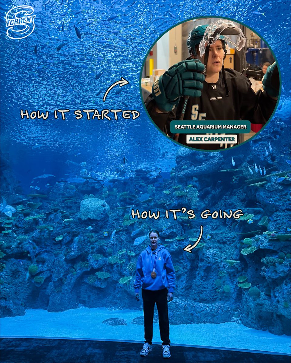 Seattle Torrent tweet media