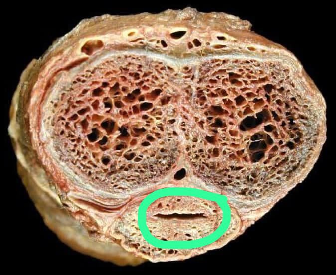Dr.Haitham Hamoud | د.هيثم tweet media