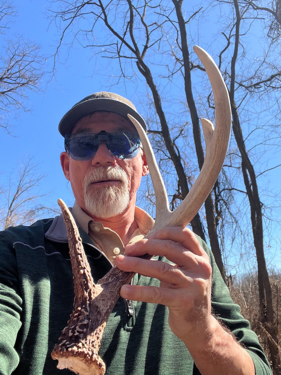 BatemanRich's tweet photo. Getting bigger
#shedhunting #whitetail https://t.co/IvP6gHhmc0