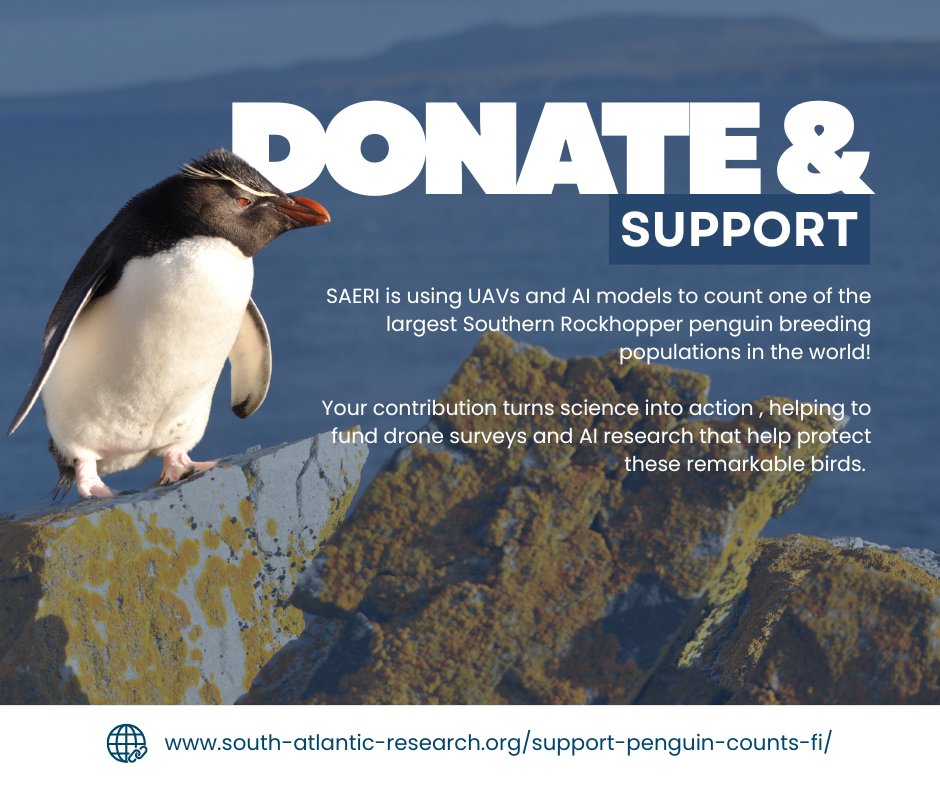 SAERI_FI's tweet photo. The Falkland Islands are vital for global seabird conservation. 🐧
SAERI’s Rockhopper Penguin Census helps protect this globally important ecosystem.
Want to support the count? 
To learn more and to donate, visit: 🔗https://t.co/ei9Immypkc https://t.co/pVCcSRgbSd